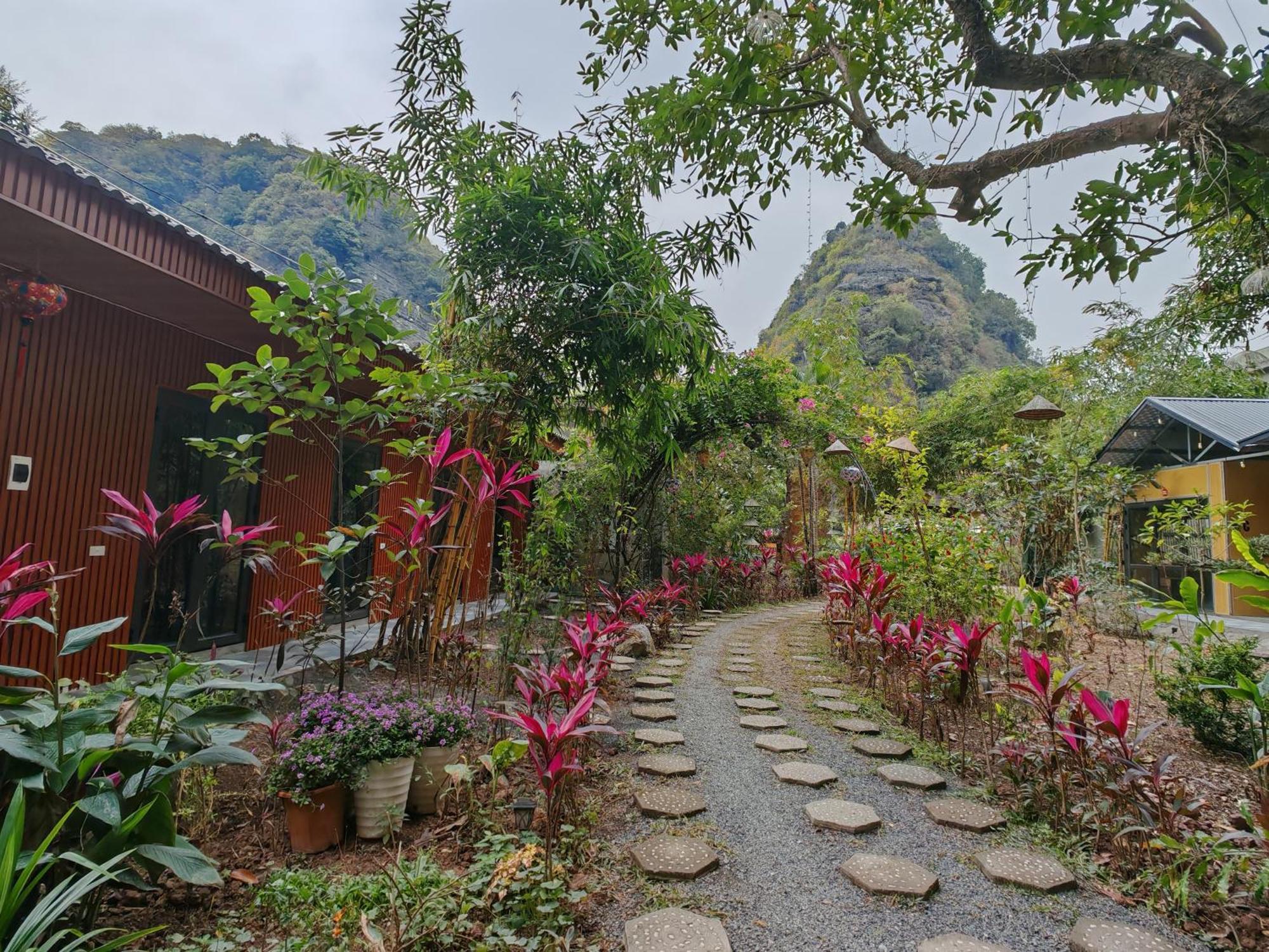 Green Valley Homestay - Thung Lung Xanh Nguyen Ngoai Kültér fotó