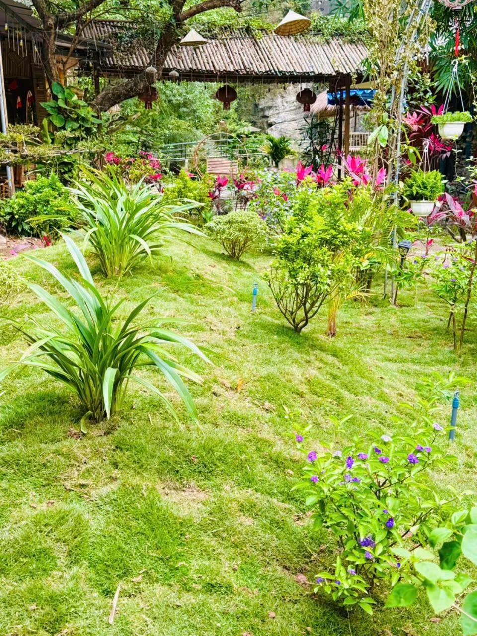 Green Valley Homestay - Thung Lung Xanh Nguyen Ngoai Kültér fotó