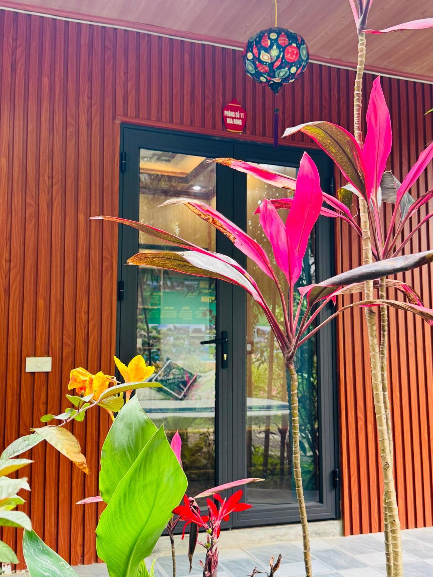 Green Valley Homestay - Thung Lung Xanh Nguyen Ngoai Kültér fotó